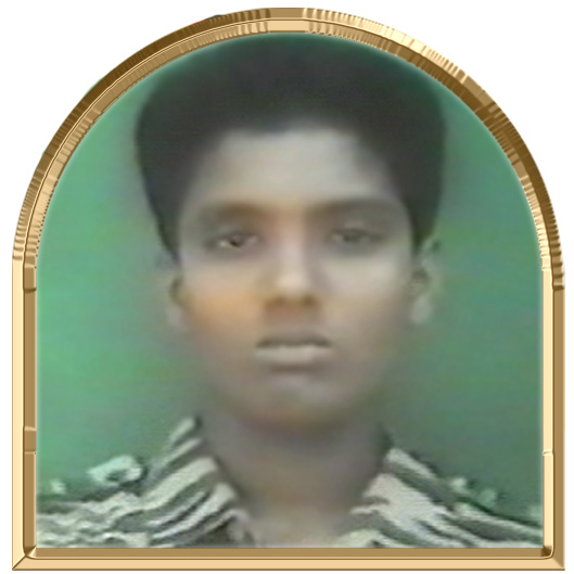 இளநிலா