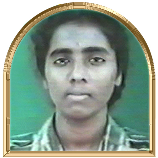பார்த்தீபனா (இலக்கணா)