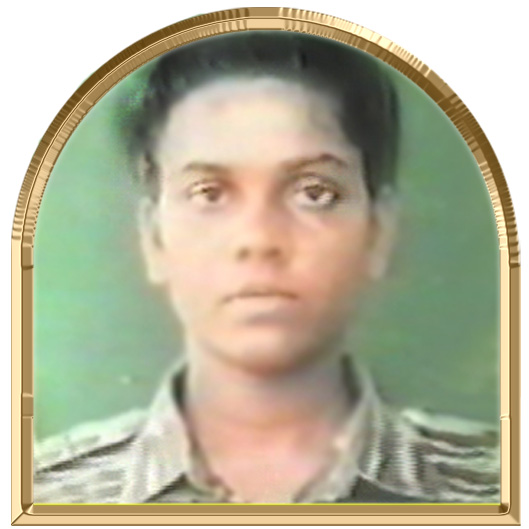 மனைமயில்