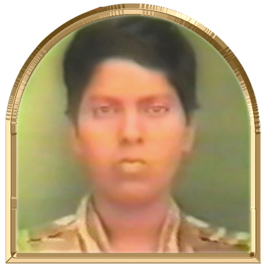 புரட்சிக்கலை