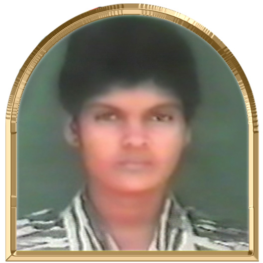 அலைச்சிட்டு