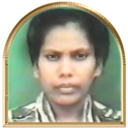 பேரழகி (ராதை)