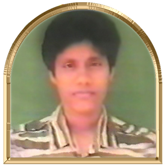 நிலைவாணி
