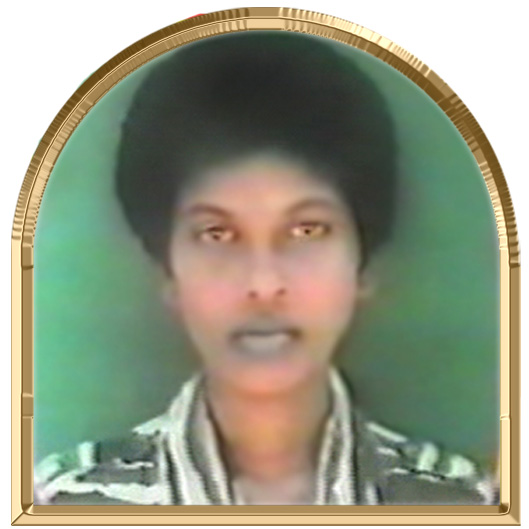 செம்பருத்தி