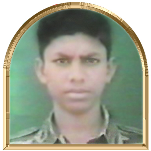 குட்டிப்புலி