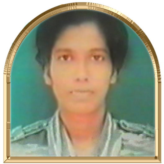 சாளி