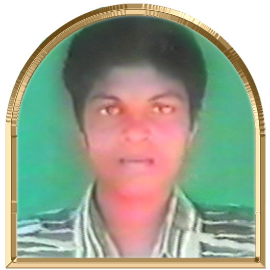 பட்டு