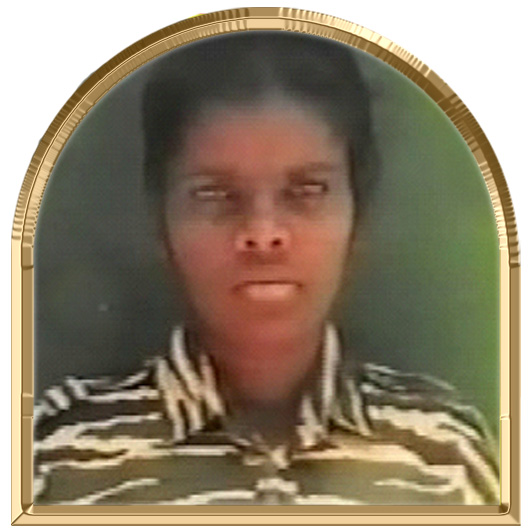 சொல்லேந்தி