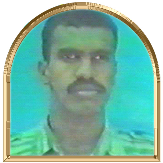 இளஞ்சோழன் (தென்றல்)