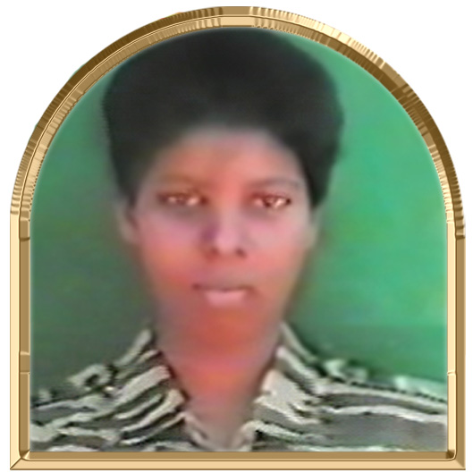 நளாயினி