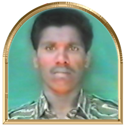 பண்ணிசை