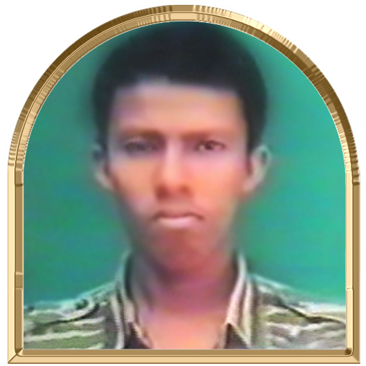 மாங்கனியன்