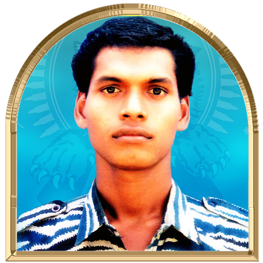நாவரசன் (சீணு)