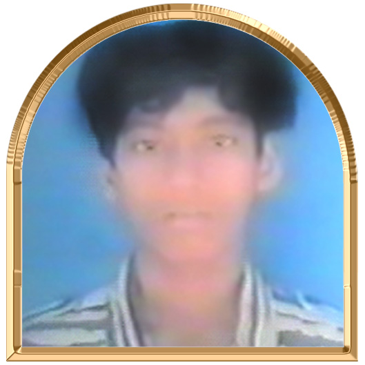 கடலழகன்