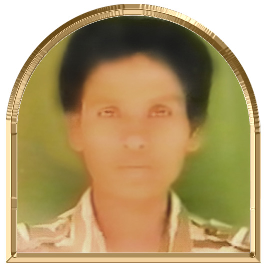 எழிற்கொடி