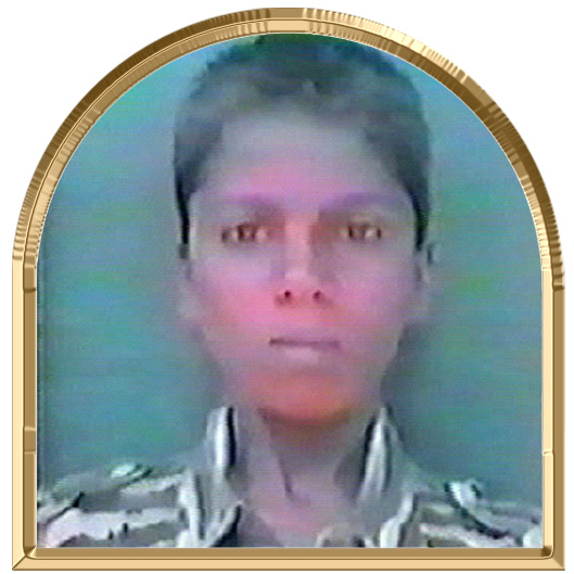 கடலழகன்