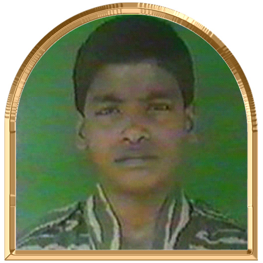 கானகக்கீரன்