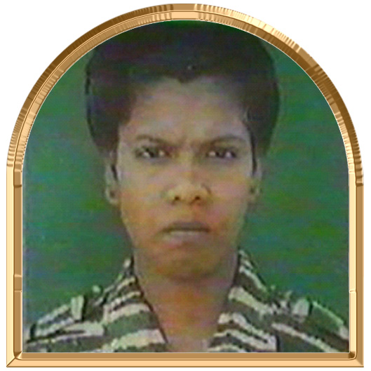 அகச்சோலை