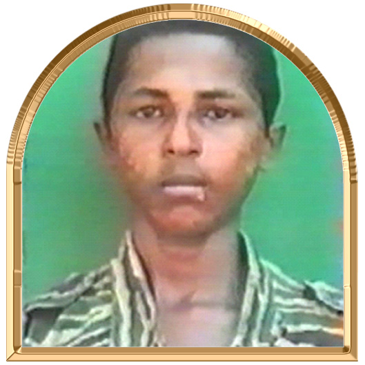 குலவாணன்