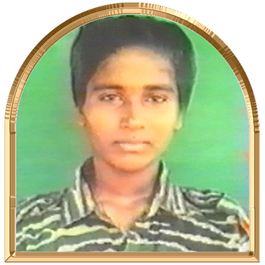 சீர்முல்லை
