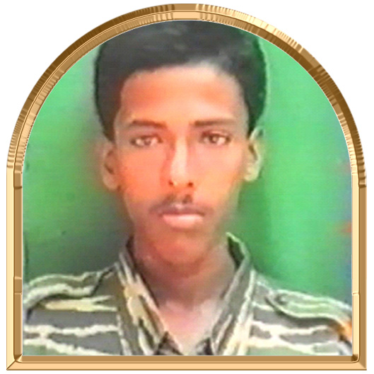 சிகரவிழியன் (சிகரவன்)