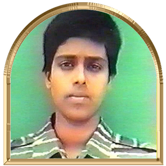 புரட்சிமயில்