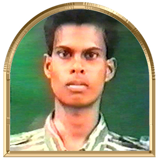 அனல்வேங்கை