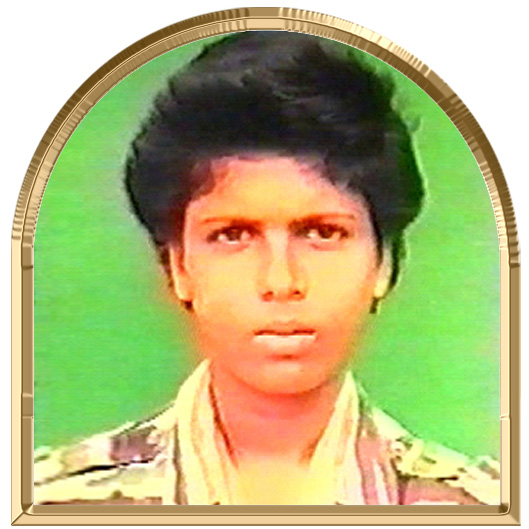தாமரை