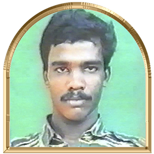கோபி (இளம்புலி)