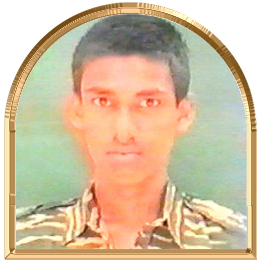 விகடகாவியன்