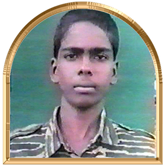 அகப்பருதி