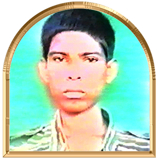 குவிவாணன்