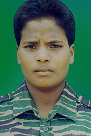 வான்புலி