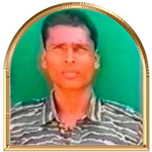 சிட்டு