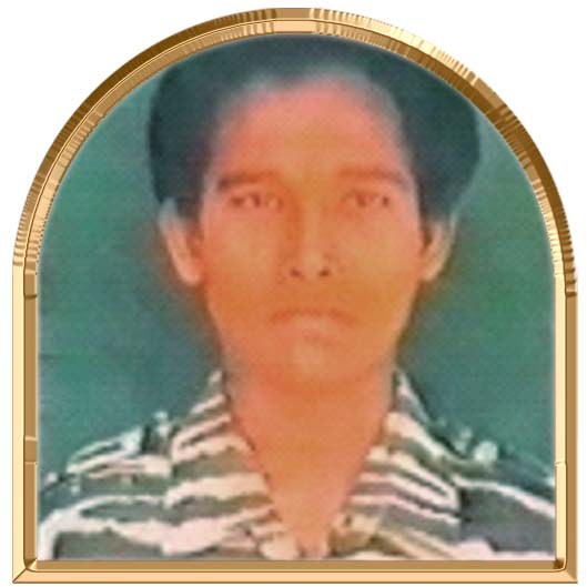பவளக்கிளி