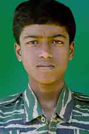 செங்கதிர்