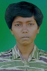சர்மினி