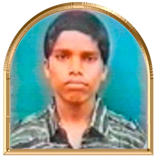 அரசின்பன்