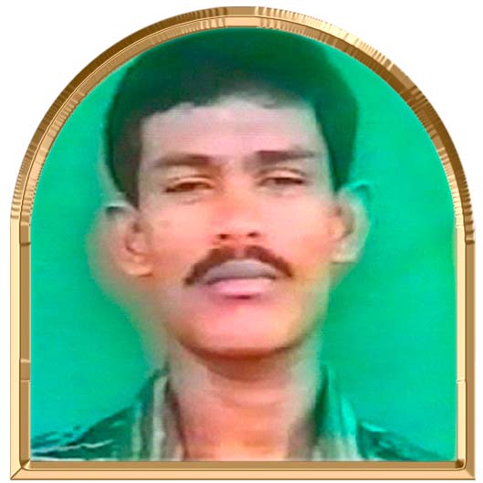 தாடிபாலா