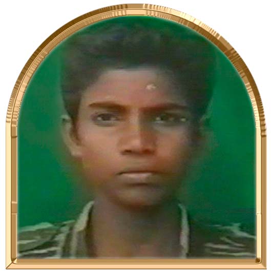 சுடர்வேங்கை