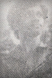 குரூஸ்