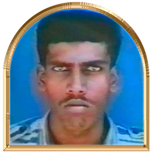 காமர் (நகுலன்)