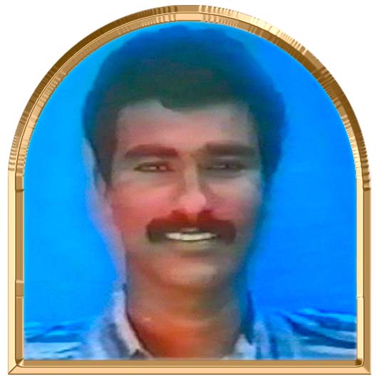 சர்வேஸ்