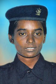 பாமினி