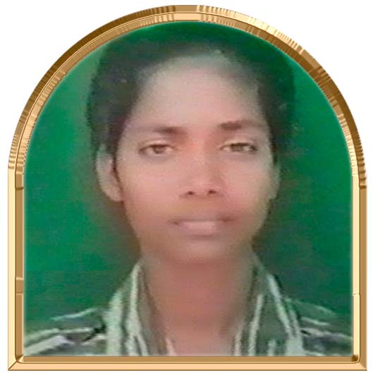 சோழமகள்
