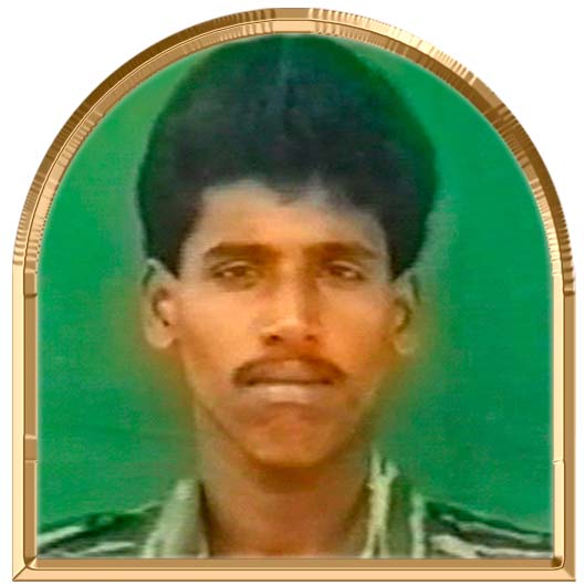 சிட்டு