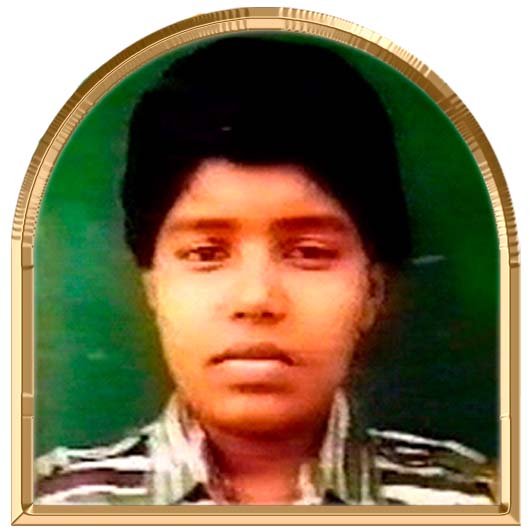 குட்டிவேங்கை (வேங்கை)