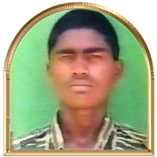 கலைச்சோழன்