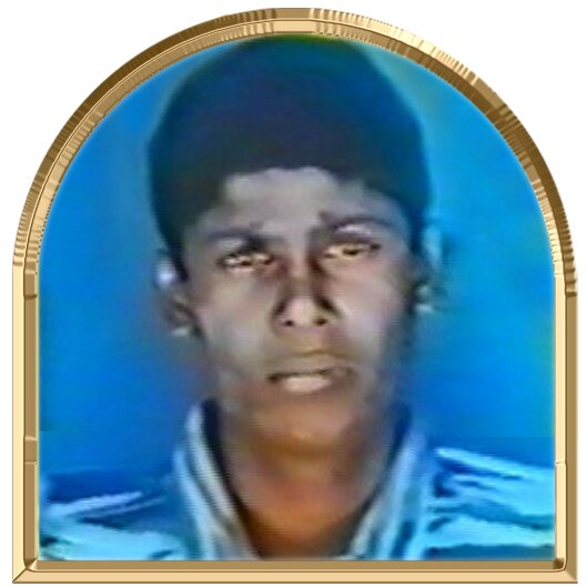 சோலையரசன்