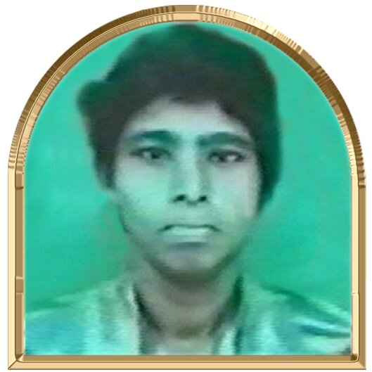 புதுமகள்
